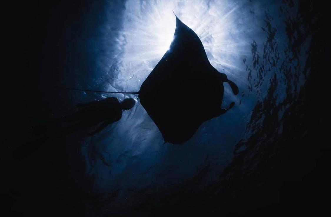Fulidhoo Ihaa Lodge Exteriör bild