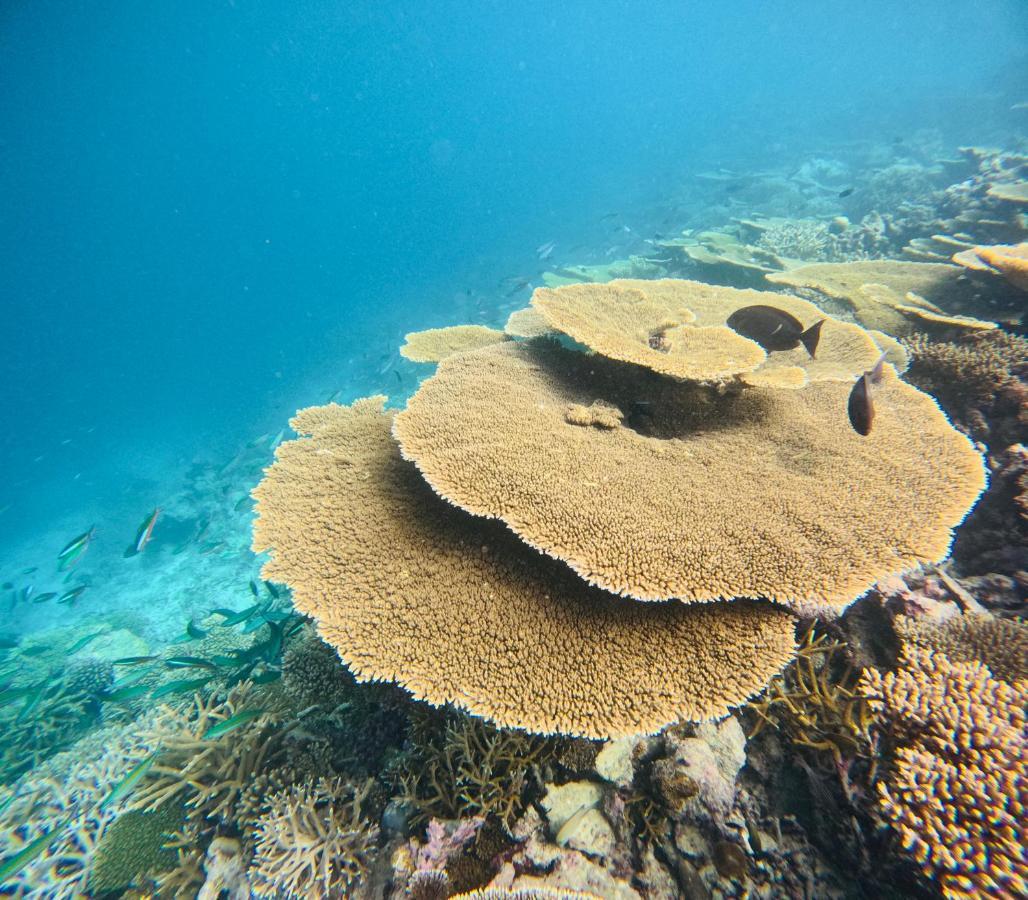 Fulidhoo Ihaa Lodge Exteriör bild