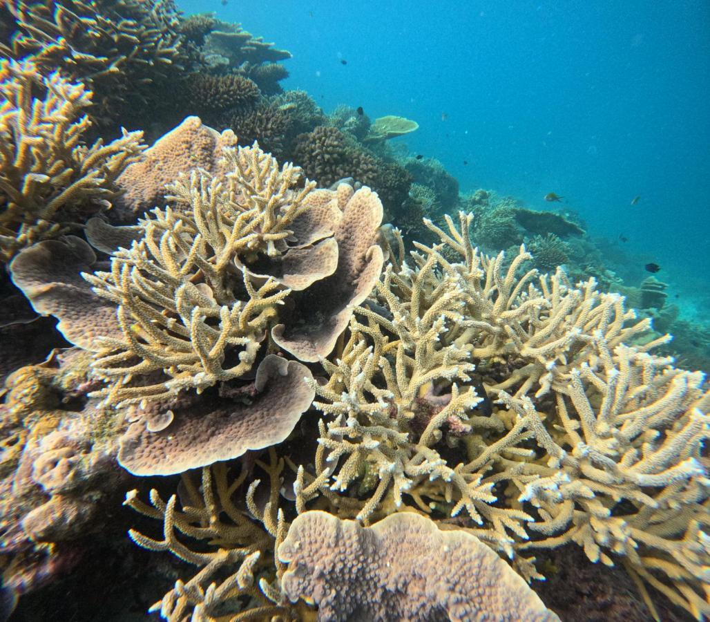 Fulidhoo Ihaa Lodge Exteriör bild