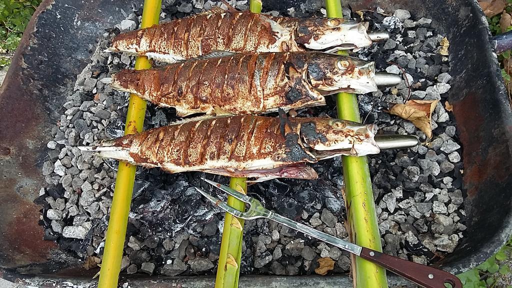 Fulidhoo Ihaa Lodge Exteriör bild