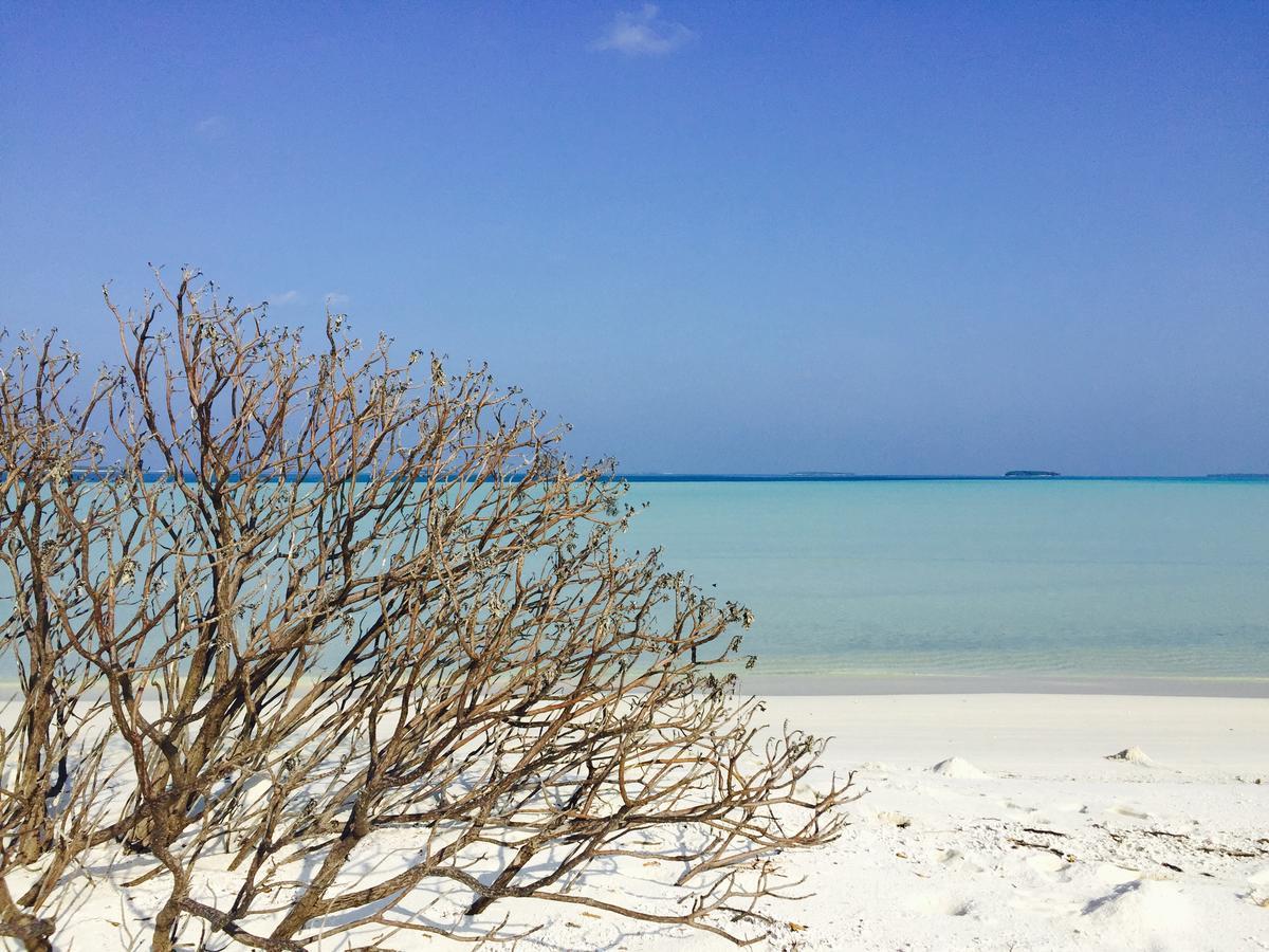 Fulidhoo Ihaa Lodge Exteriör bild