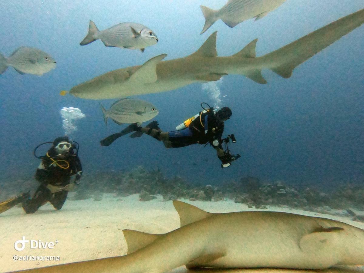 Fulidhoo Ihaa Lodge Exteriör bild